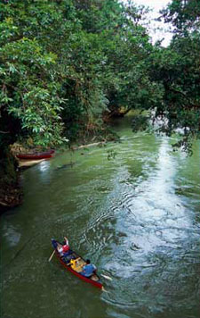 Costa Rica-Caribbean Coast-Canoe Costa Rica